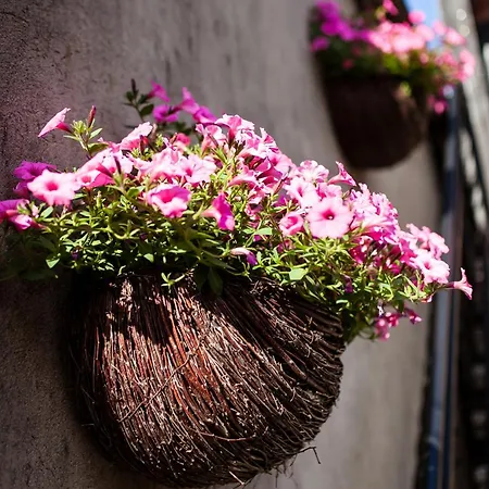 Hortensjowy Zakatek Goscinne Леба