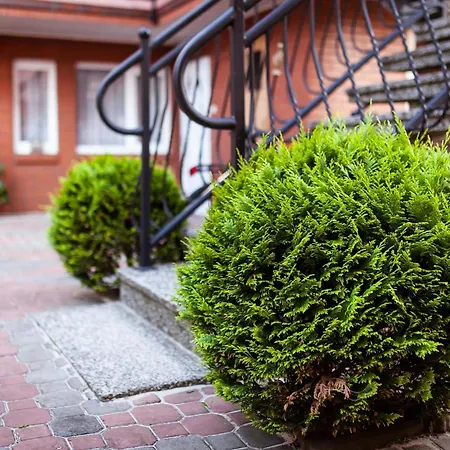 Hortensjowy Zakatek Goscinne * Леба