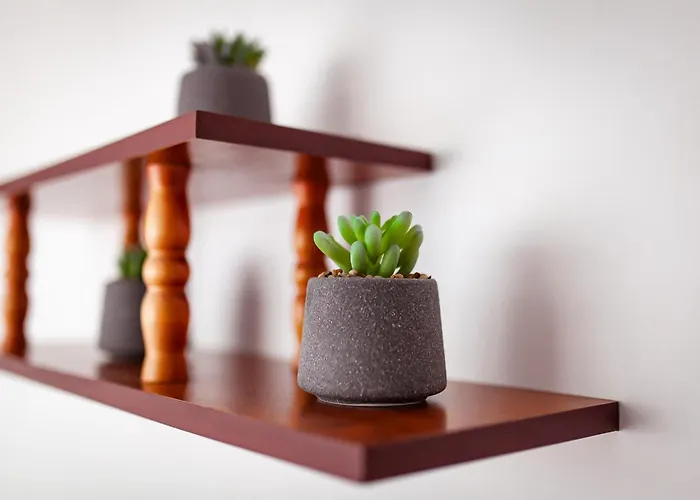 Hortensjowy Zakatek Goscinne Łeba