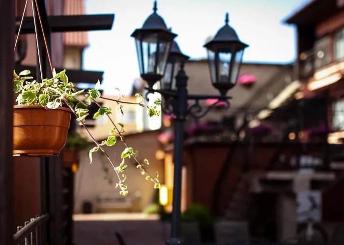 Hortensjowy Zakatek Goscinne *