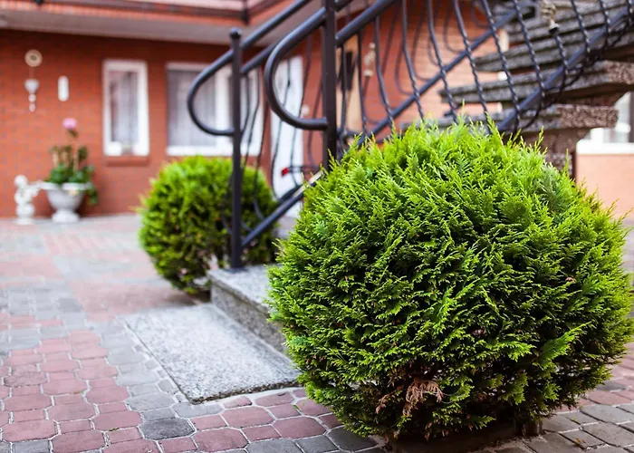 Hortensjowy Zakatek Goscinne * Łeba